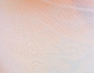 Feminine detaljer. thumbnail